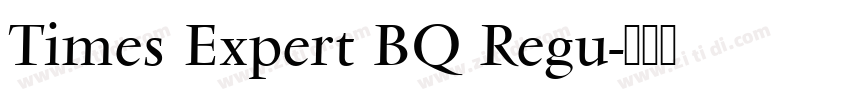 Times Expert BQ Regu字体转换